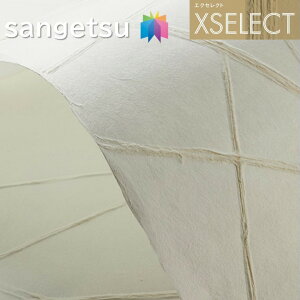 ǎ TQc ̂Ȃǎ GNZNg 炵 SGB2001`SGB2003 XSELECT 2021-2024 NX fUC ǎ R[fBl[g P