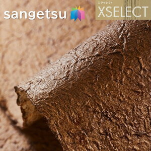 ǎ TQc ̂Ȃǎ GNZNg Ԃ SGB2019 XSELECT 2021-2024 NX fUC ǎ R[fBl[g 