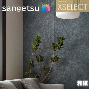 ǎ TQc ̂Ȃǎ GNZNg a SGB2038 El̎d XSELECT 2021-2024 NX fUC ǎ R[fBl[g {