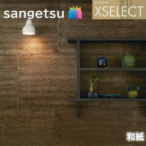 ǎ TQc ̂Ȃǎ GNZNg a SGB2053 El̎d XSELECT 2021-2024 NX fUC ǎ R[fBl[g 