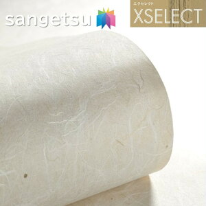 ǎ TQc ̂Ȃǎ GNZNg a SGB2074 @Ba XSELECT 2021-2024 NX fUC ǎ R[fBl[g