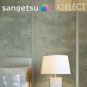 ǎ TQc ̂Ȃǎ GNZNg ARMANI/CASA SGB2322`SGB2323 XSELECT 2021-2024 NX fUC ǎ R[fBl[g
