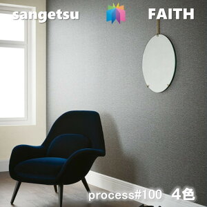 �̂�Ȃ��ǎ� PROCESS#100 �s�R �h�J�r �R�� FANCY GEOLOGY �m�t�@���V�[ �W�I���W�[�n �T���Q�c�t�F�C�X SANGETSU FAITH �N���X �f�U�C�� ���� �� �������