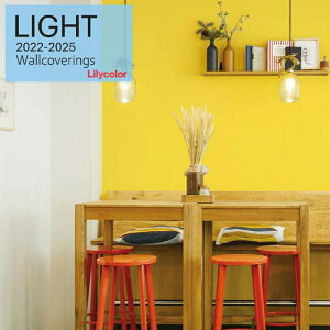 ̂ȂYǎ J NX sR sR gbvR[g \ʋ h tH[ Lilycolor Cg2022-2025  C ǎ\ւ L q Lb` gC  LL-772