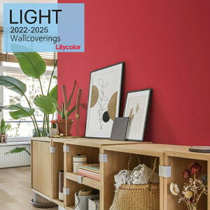 ̂ȂYǎ J NX sR sR gbvR[g h \ʋ x[VbN Lilycolor Cg2022-2025  C ǎ\ւ L q Lb` gC  LL-7762-L