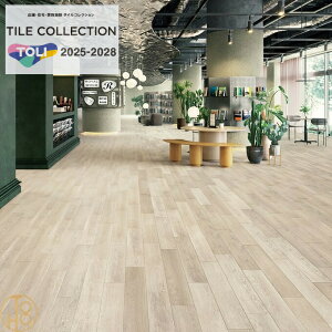 yP[Xz   CEbh rj^C 150×9003mm PWT4201`PWT4204 ` I[N ؖڕ tA^C TOLI ROYALSTONE tA}bg ^C  JtF  tA[^C 