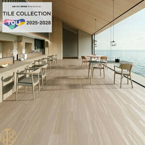 yP[Xz   CXg[EO rj^C 152.4mm×914.4mm3mm PST4164 PST4165 ` tA^C TOLI ROYALSTONE tA}bg ^C  JtF  tA[^C