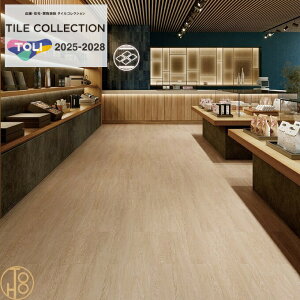 yP[Xz   CEbh rj^C 150×9003mm PWT4304 kC ?i^j ` ؖڕ tA^C TOLI ROYALSTONE tA}bg ^C  JtF  tA[^C