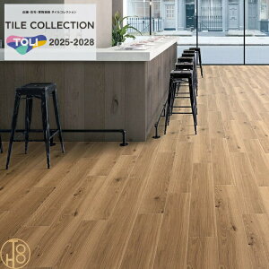 yP[Xz   C[N NW-EX rj^C 180×12603mm ECT6132 ` Jg[I[N tA^C TOLI NO WAX R RECXH tA}bg ^C  JtF  