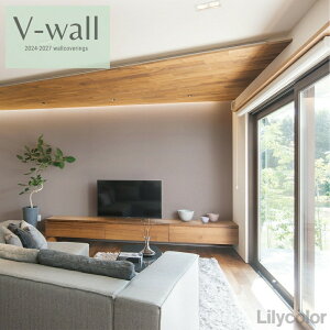 ̂ȂYǎ J NX sR sR h Lilycolor V-EH[2024-2027  C ǎ\ւ q Lb` gC  Vv LV-2161`LV-2163