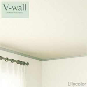 ̂ȂYǎ J NX sR sR h Lilycolor V-EH[2024-2027  C ǎ\ւ q Lb` gC  L R ʋC ^Cv  N[[bg LV