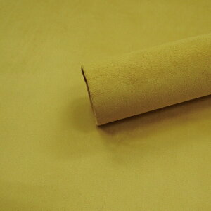y݌ɏzy2m/󂠂/mtXG[hnV[g PF 1-7CG[uE 145cm×2mzJbeBOV[g AJ^[  ԓ ւ ǎ V[  RoyalQueen