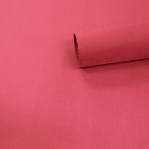 yzymtXG[hnV[g PF 2-3o[~I 145cm×1mzJbeBOV[g  ԓ ւ ǎ V[  RoyalQueen