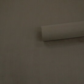 楽天市場 車 内装 張替えの通販