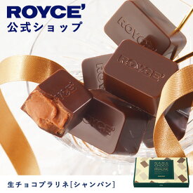 【公式】ROYCE' ロイズ 生チョコプラリネ[シャンパン] チョコレート プレゼント ギフト プチギフト スイーツ お菓子