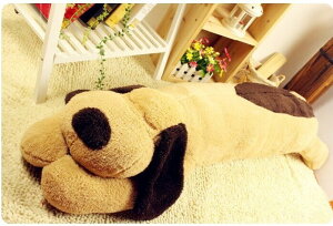 ̂ʂ 傫 Ck  ʂ 傫ʂ   v[g Cxg j S150cm