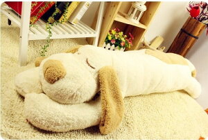 ̂ʂ 傫 Ck  ʂ 傫ʂ   v[g Cxg j S150cm