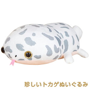 gJQ  ʂ  ܂  gJQ̂ʂ S50cm