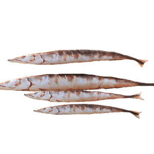魚 ぬいぐるみ ぬいぐるみの通販 価格比較 価格 Com