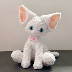 40cm L f{bNX ʂ L̂ʂ lR  f{bNX L@ AL̂ CeA q  ӂӂŖ _炩 Sn v[g