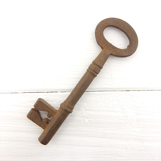 アンティークキー ビンテージ antique マーケット 100％安い key 鍵 a-other67 中古