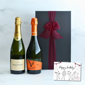 yIׂ郁bZ[WJ[hzC Mtg 2{Zbg G^bgEGEphG ubgEi`[ 750ml Xp[OC ofBrG\ ubg 750ml v[g 