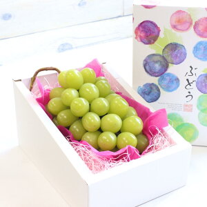 t[c Mtg ʕ VC}XJbg MtgR  1[ 600g t[c ʕ Ԃǂ 蕨 Mtg v[g  a bZ[W