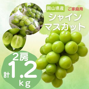 y15őP10{ Iׂ郁bZ[WJ[hzt[c Ԃǂ ʕ VC}XJbg R 1.2kg _nANxQ sI[l v[g j v[g  a bZ[W