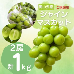 y15őP10{ Iׂ郁bZ[WJ[hzt[c Ԃǂ ʕ VC}XJbg R 1kg _nANxQ sI[l v[g j v[g  a bZ[W