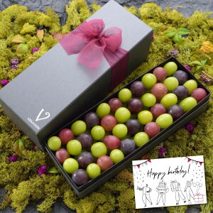 yIׂ郁bZ[WJ[hzyăMtg zt[c Mtg Ԃǂ VC}XJbg Mtg VC}XJbg R Ԃǂ Ԃǂ̉ԑ F]u[P  sI[l Y