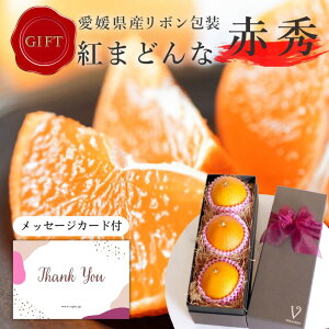 y30 SiP5{ Iׂ郁bZ[WJ[hzNX}X Ε ݂ p g܂ǂ ԏG ݂ {ϔ 3 2L3LTCY v[g  x QY ݂ ~J v[g 