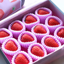 【選べるメッセージカード】クリスマス いちご 濃厚 紅ほっぺ 岡山 250g フルーツ ギフト 新鮮 岡山から当日収穫をその日発送 化粧箱 紅ほっぺ かおり野 すず メッセージカード無料 誕生日 メッセージ