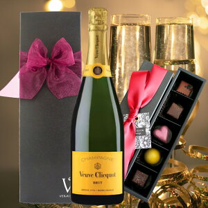 y10őP10{ Iׂ郁bZ[WJ[hzVpF[ NR CG[x ubg750ml 1{ Ki × {{VR `R[g5Y/S}/t{[Y/^Uj