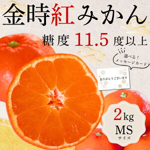 y5P10{ Iׂ郁bZ[WJ[hzNX}X Ε ݂ Mtg Â ݂ Lc݂ p 2kg G MSTCY a̎RY ݂ Mtg 蕨  ~J v[g 