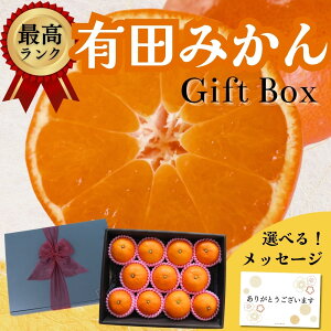 yIׂ郁bZ[WJ[hzΕ ݂ Mtg  x Lc݂ ԏG MSTCY 1kg a̎RY p {ϔ Â~J j  a v[g  {b