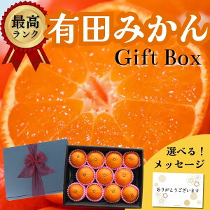 y25őP10{ 14mœ Iׂ郁bZ[WJ[hzΕ ݂ ʕt[c  Mtg  x Lc݂ ԏG MSTCY 1kg a̎RY {ϔ 