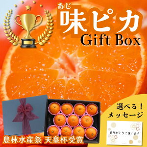 y222~XɍőP10{ Iׂ郁bZ[WJ[hzΕ ݂ ʕt[c  Mtg  x sJ@LMSTCY 1kg QY {ϔ Â~J j  a v[