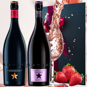 y30 SiP5{ Iׂ郁bZ[WJ[hzv[g j  r[ 2{Mtg ClfBbg750ml ClfBbg [ 750ml C Vp Zbg a bZ[W