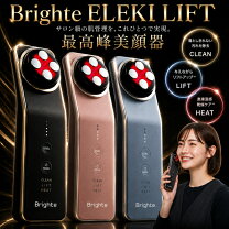 楽天市場】ブライト エレキリフトの通販
