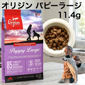 �y���K�i�z�J�i�_�Y �I���W�� �p�s�[���[�W 11.4kg Orijen dogfood puppy large