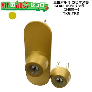 yGOAL TKG,TKDzy2zOA~ D9V_[ WD6163 S[h(GO)F 33mm 2V_[ L[5{t JsIX xr[II GOAL TKG,TKD