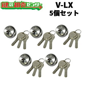 �y5�Z�b�g�zGOAL,�S�[�� GCY-211 (V-LX) ���V���o�[ ��V18�V�����_�[ GOAL AS LX�^�C�v �����V�����_�[ �Ή�����29�`43mm ���i�J�M�j��ց@���� �V�����_�[ GOAL ��ւ� V-LX 5�V���Z�b�g V18-LX GCY211 gcy211 