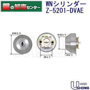 [VVEiU-shin ShowajgXepZ-5201-DVAE yz [WNL[V_[]