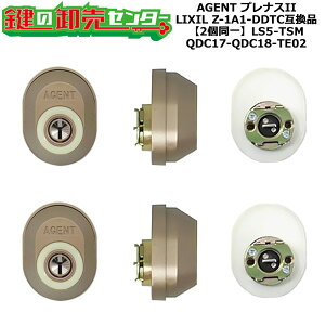 yQDC17-QDC18-TE02zAGENT LS5-TSM viXII  (JM)  ւV_[E2L[Zbg Z-1A1-DDTC݊i WL[5{t QDC17-QDC18-TE02