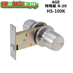 �yAGE�zAGE�@������@R-29�@HS-100K AGE