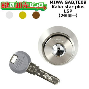 MIWA GAB,TE09 �������p Kaba star plus,�J�o�X�^�[�v���X LSP 2����V�����_�[ ��(�J�M) ���� ���
