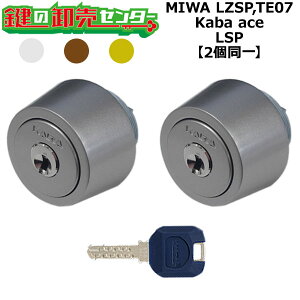 MIWA LZSP,TE07 p Kaba ace,JoG[X LSP 2V_[ (JM)  