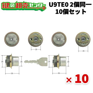 y12܂ł̒œoׁz10ZbgMCY-424 (U9WCYTE0.CY) EtL[FL[6{ EST (Vo[)  (JM)  