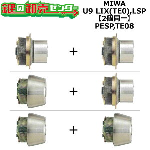 MIWA,abN PESP,TE08 p MIWA U9 LIX(TE0),LSP 2V_[ (JM)  