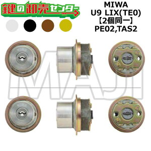 MIWA,abN PE02,TAS2 p MIWA U9 LIX(TE0) 2V_[ (JM)  